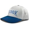imageReebok Classic Hat  Snapback  Adjustable  Baseball Cap  Embroidered  Casual  Lifestyle  Athletic  Sports  RetroGreyVector Blue