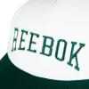 imageReebok Classic Hat  Snapback  Adjustable  Baseball Cap  Embroidered  Casual  Lifestyle  Athletic  Sports  RetroWhiteCollegiate Green