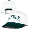 imageReebok Classic Hat  Snapback  Adjustable  Baseball Cap  Embroidered  Casual  Lifestyle  Athletic  Sports  RetroWhiteCollegiate Green