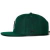 imageReebok Identity Drop R Hat  Cap  Baseball  Flat Brim  Snapback  Adjustable  Retro  Casual  Streetwear  GymIdentity Drop R  Collegiate Green