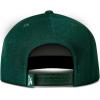 imageReebok Identity Vector Hat Adjustable Snapback Closure Flat Brim Heavyweight Acrylic CapIdentity Vector  Collegiate Green