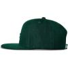 imageReebok Identity Vector Hat Adjustable Snapback Closure Flat Brim Heavyweight Acrylic CapIdentity Vector  Collegiate Green