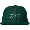 imageReebok Identity Vector Hat Adjustable Snapback Closure Flat Brim Heavyweight Acrylic CapIdentity Vector  Collegiate Green