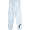 imageReebok Boys Active Pants  Performance Fleece Joggers for Boys  Kids Lightweight Warm Up Track Pants 820Heather Grey Vector