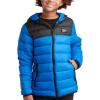 Vector Blue/Black