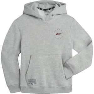 imageReebok Boys Sweatshirt  Active Fleece Pullover Hoodie Size 420Light Grey Heather Circle Log