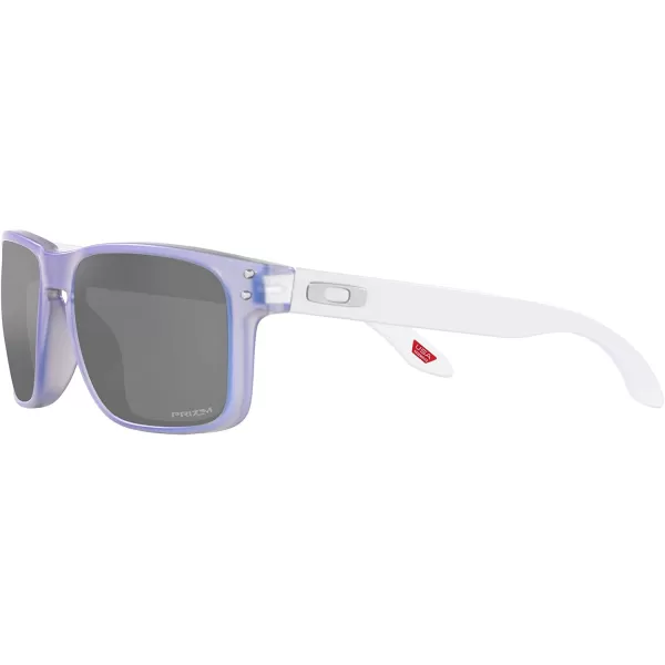 imageOakley Mens Oo9102 Holbrook Square SunglassesDark Matte Stonewash OpalinePrizm Black