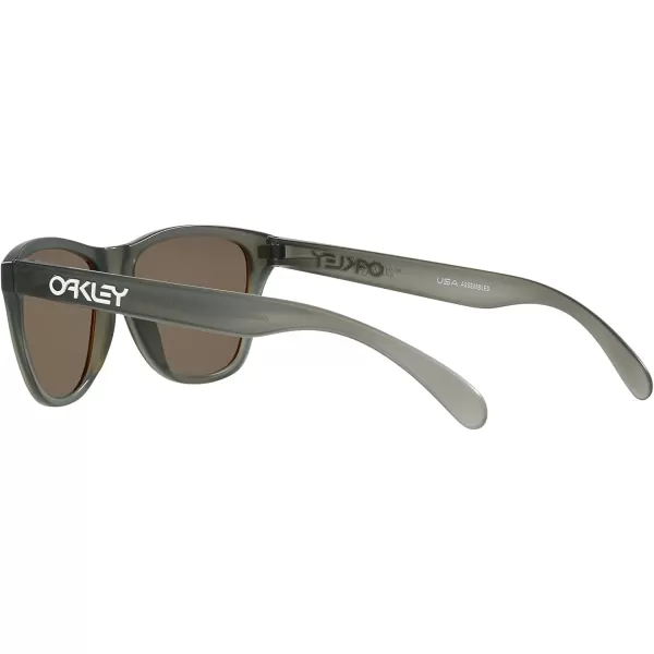 imageOakley Oj9006 Frogskins Xs Square SunglassesMatte Grey SmokePrizm 24k Polarized