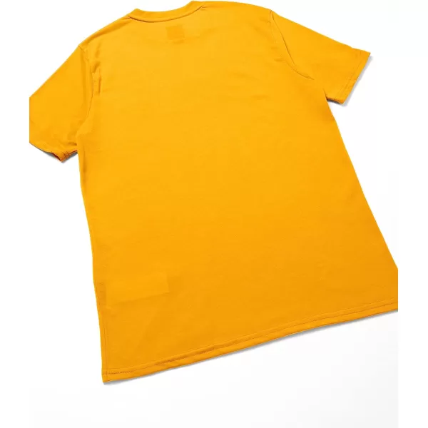 imageOakley Womens Gradient Lines B1b Rc TeeAmber Yellow