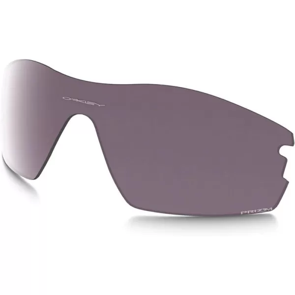 Prizm Daily Iridium Polarized