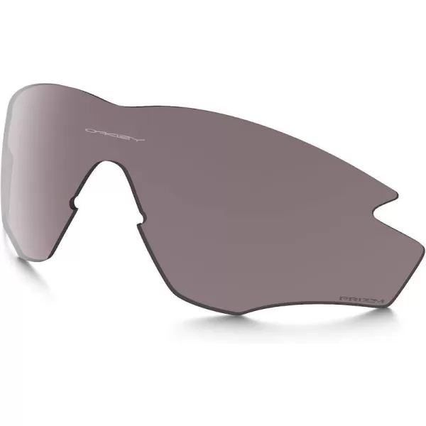 Prizm Grey Polarized