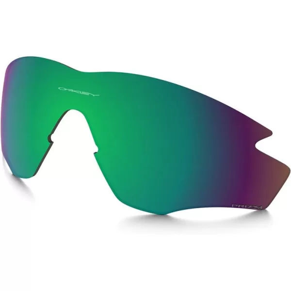 Prizm Shallow Water Polarized