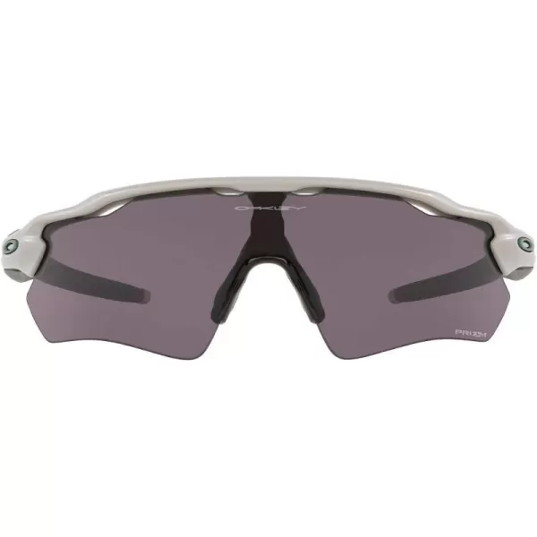 Matte Cool Grey/Prizm Grey