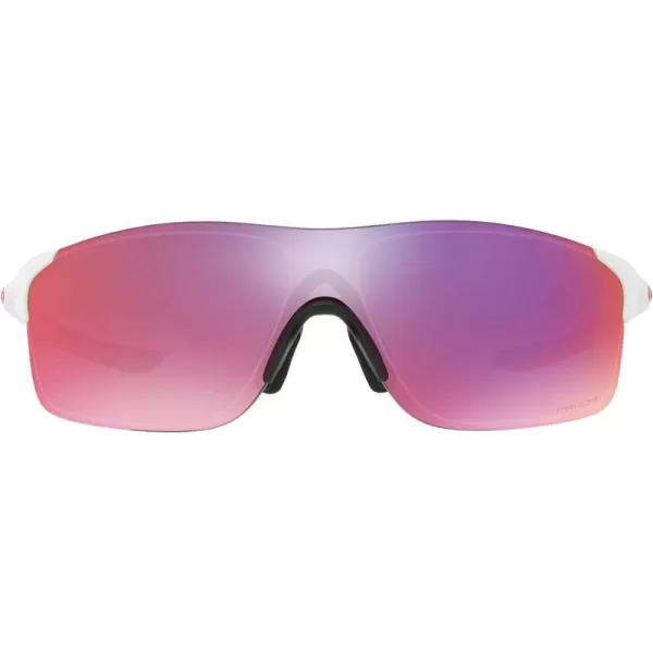 Prizm Daily Polarized