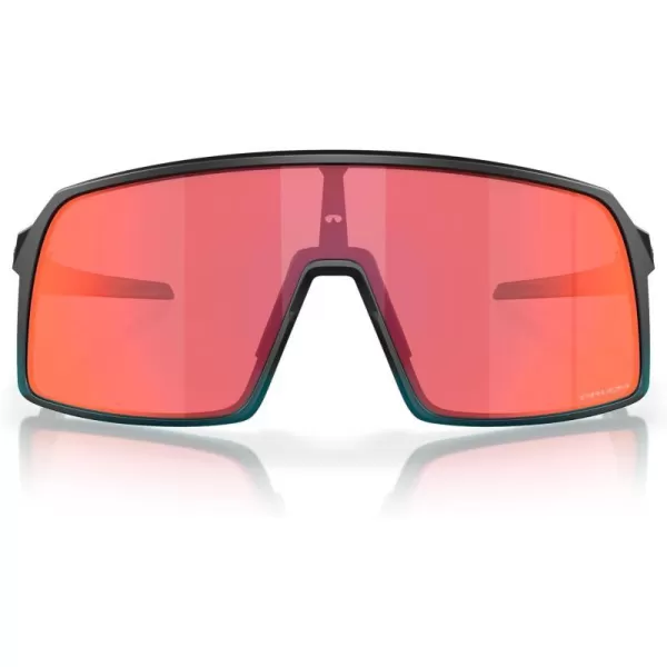 Matte Transparent Balsam Fade/Prizm Trail Torch
