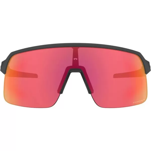 Matte Carbon/Prizm Trail Torch