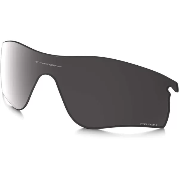 Prizm Black Polarized