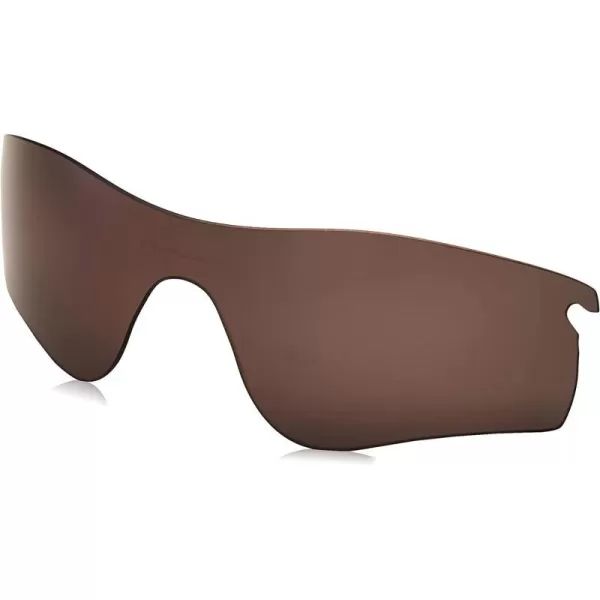 Prizm Daily Polarized