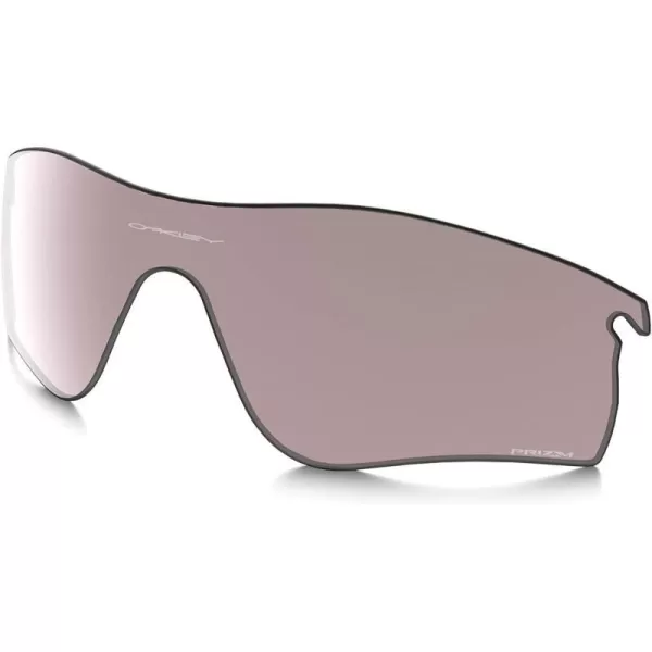 Prizm Grey Polarized