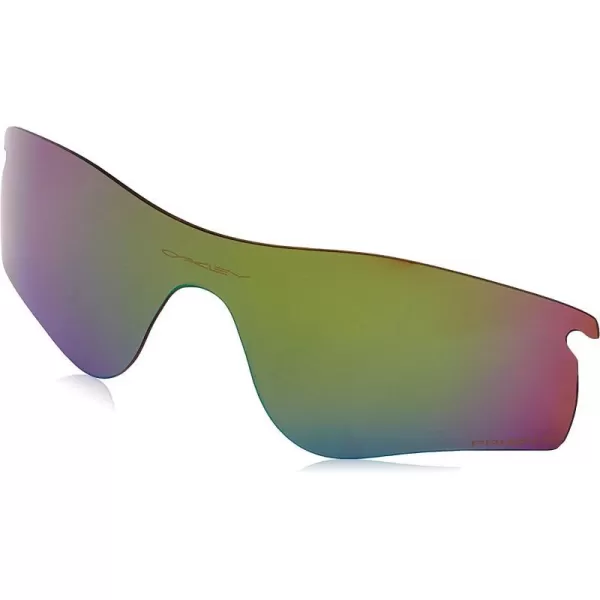 Prizm Shallow Water Polarized