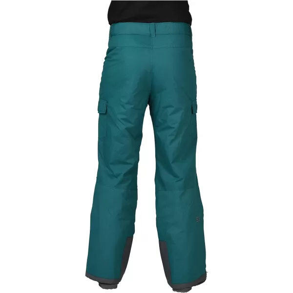 Arctix Mens Snow Sports Cargo PantsDark Teal