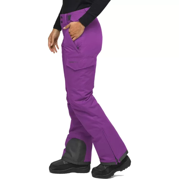 Arctix Womens Snow Sports Insulated Cargo PantsStandard Amethyst