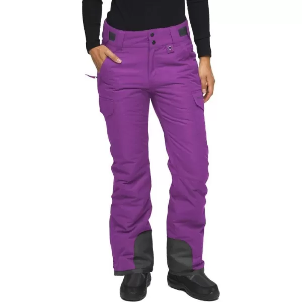 Arctix Womens Snow Sports Insulated Cargo PantsStandard Amethyst