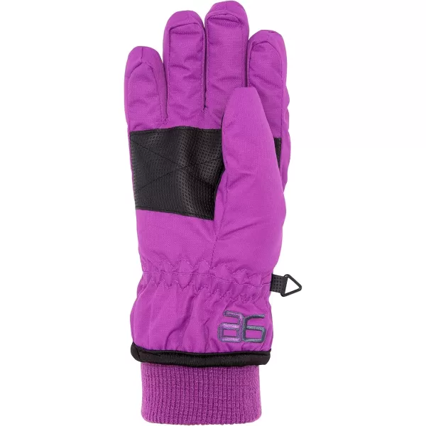 imageArctix Kids Whiteout Insulated Ski GlovesAmethyst