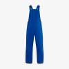 imageArctix Mens Essential Insulated Bib OverallsSnow BibsNautical Blue
