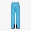 imageArctix mens Full Stop Ski PantLake Placid