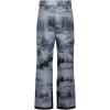 imageArctix Mens Snowsports Cargo PantsScenic Print Gray