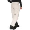 imageArctix Mens Snowsports Cargo PantsStone