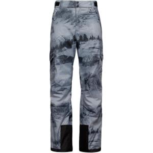 imageArctix Mens Snowsports Cargo PantsScenic Print Gray