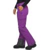 imageArctix Womens Snow Sports Insulated Cargo PantsAmethyst