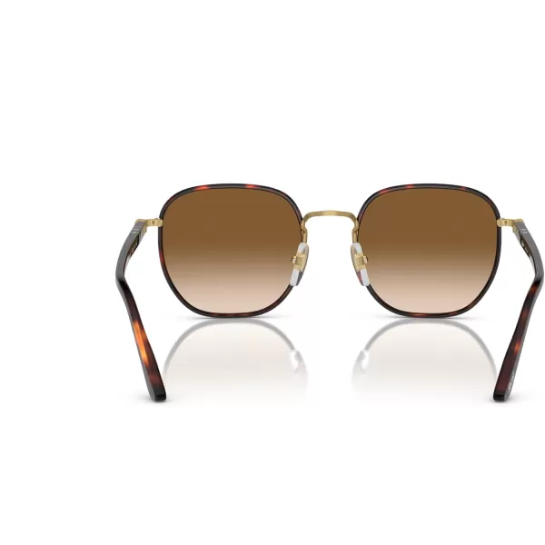 Persol Mens PO115SJ Square Sunglasses GoldHavana 52 mmPersol Mens PO115SJ Square Sunglasses GoldHavana 52 mm