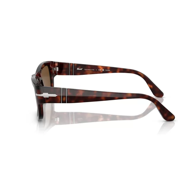 Persol Mens Po3326s Square SunglassesHavana