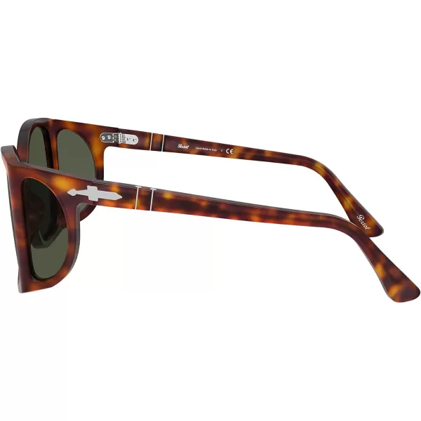 Persol PO0005 Square SunglassesHavanaGreen