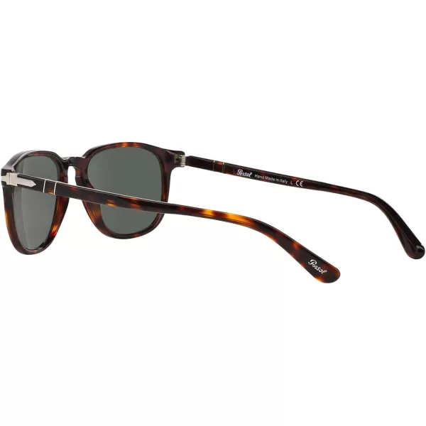 Persol PO3019S Square SunglassesHavanaGreen