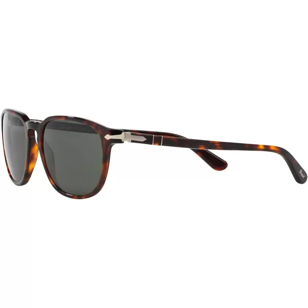 Persol PO3019S Square SunglassesHavanaGreen