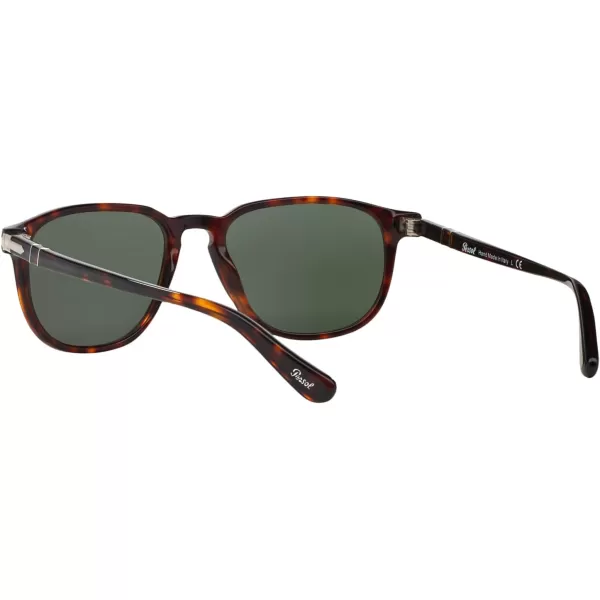 Persol PO3019S Square SunglassesHavanaGreen