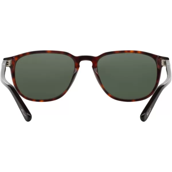 Persol PO3019S Square SunglassesHavanaGreen