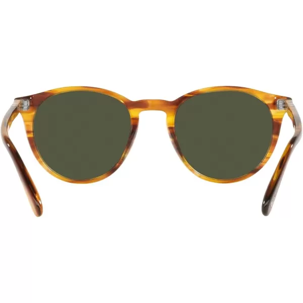 Persol PO3152S Round SunglassesStriped BrownGreen