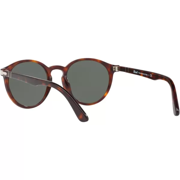 Persol PO3171S Round SunglassesHavanaGreen