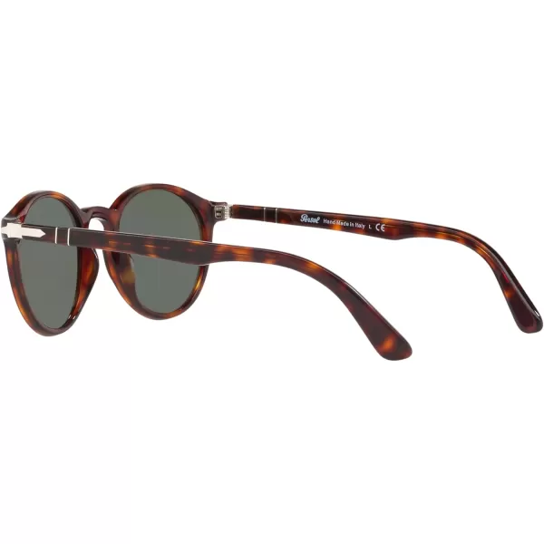 Persol PO3171S Round SunglassesHavanaGreen