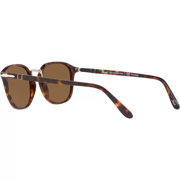 Persol PO3186S Round SunglassesHavanaBrown Polarized