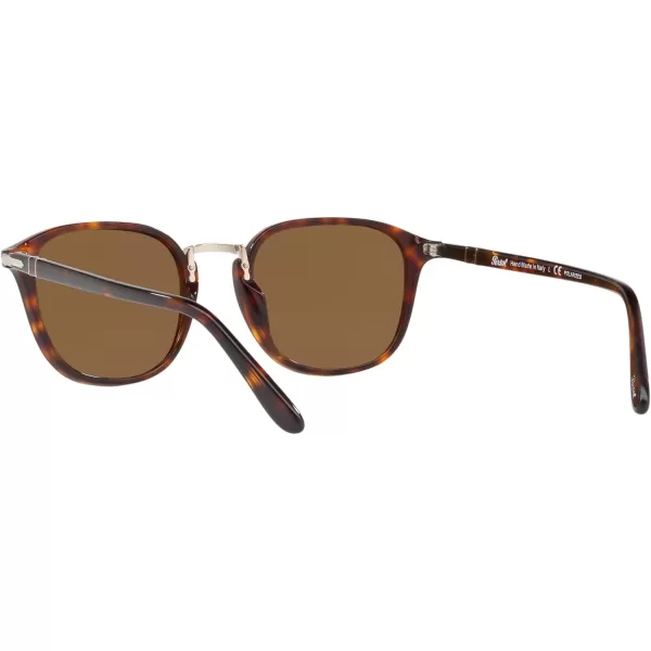 Persol PO3186S Round SunglassesHavanaBrown Polarized