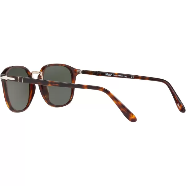 Persol PO3186S Round SunglassesHavanaGreen