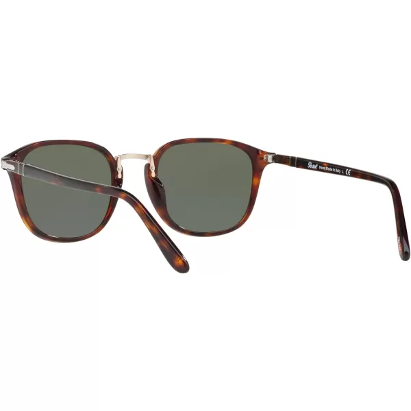 Persol PO3186S Round SunglassesHavanaGreen