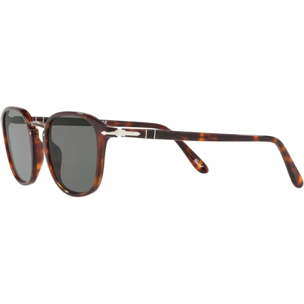 Persol PO3186S Round SunglassesHavanaGreen