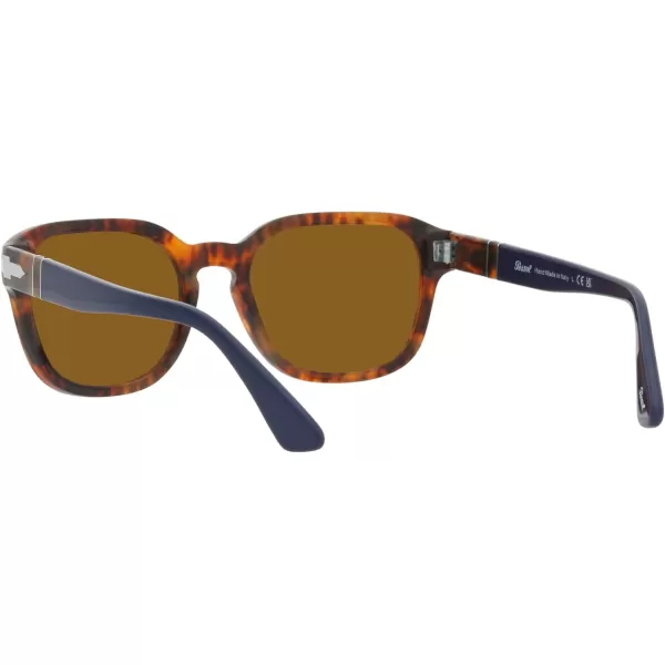 Persol PO3305S Square SunglassesBrown TortoiseBrown